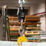 pce-instruments-crane-scale-pce (5)