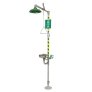 Haws 8300-8309 Combination Eyewash Shower